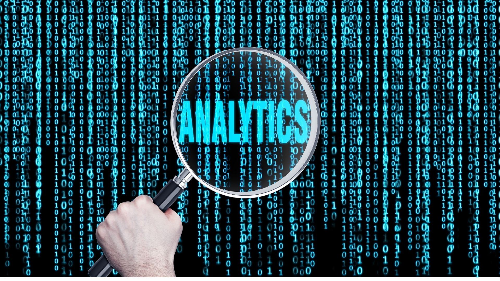 The First Survey to Analyze Government Analytics