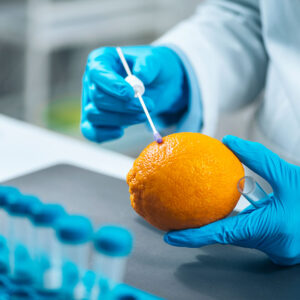 Scientist testing food to make sure it's safe graphic