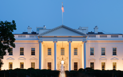 An Analysis of the President’s Budget Priorities for Enhancing Customer Experience