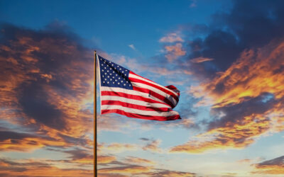 REI Systems’ Partnership with Homeland Security Agencies