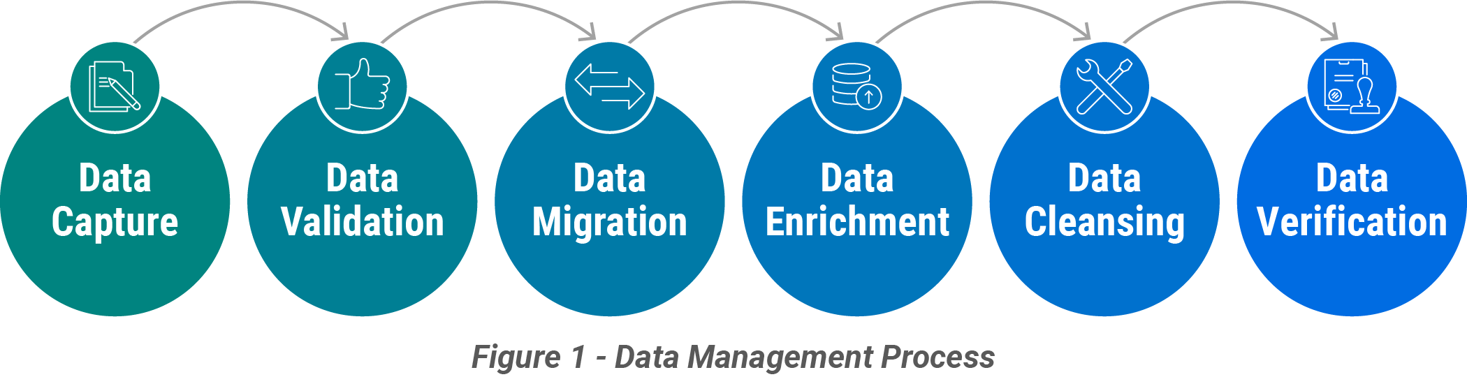 Figure 1: Data Management Process graphic as described in the text.