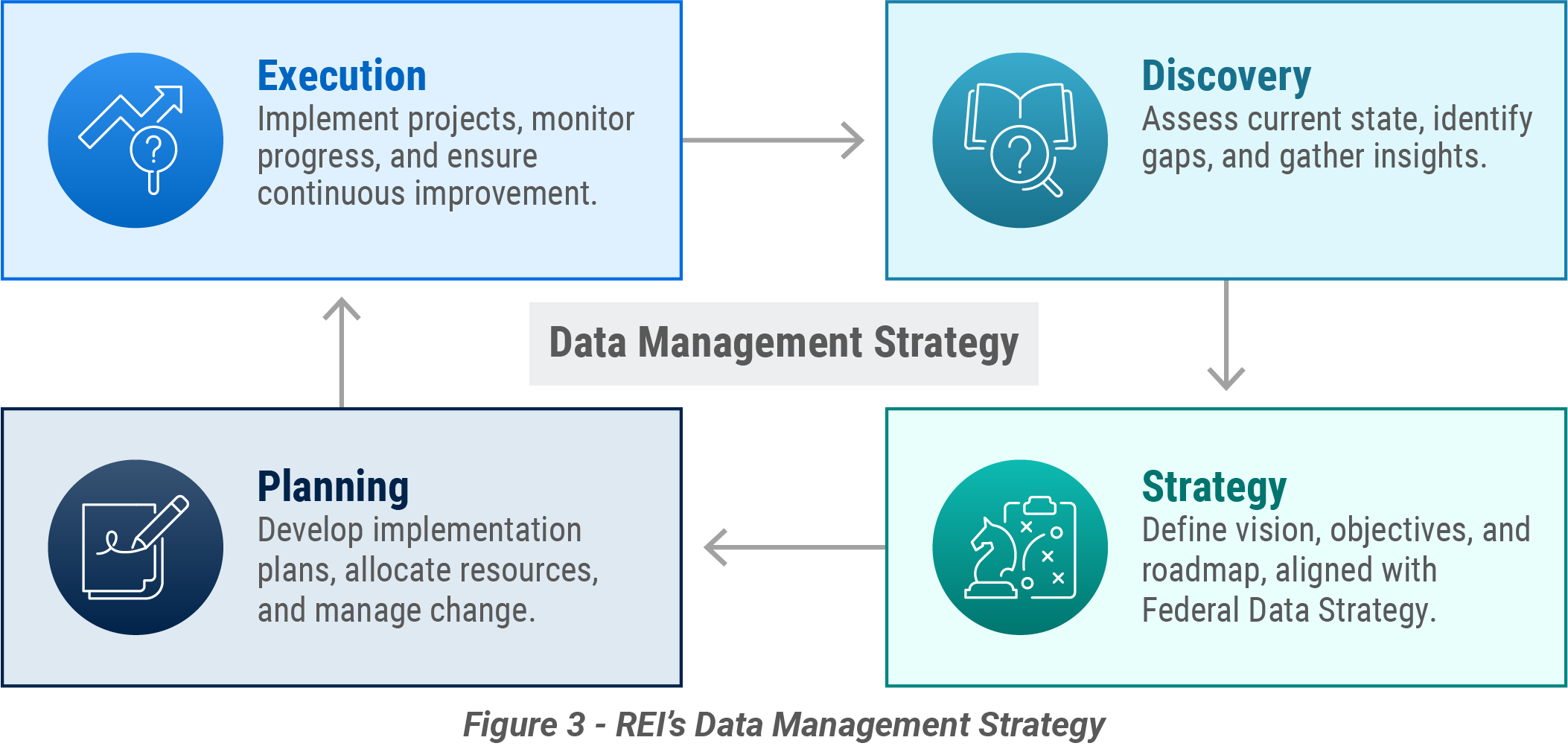 Figure showing REI's data management strategy as described in the text.